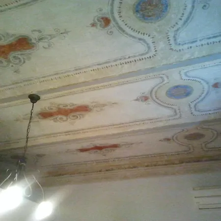 B&B Cribo-2