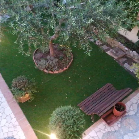 B&B Cribo-3